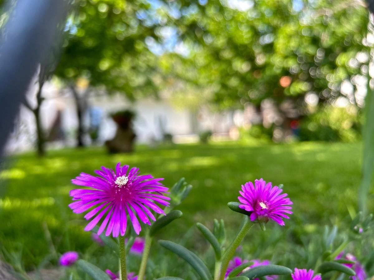 Apartment River Klis Екстер'єр фото
